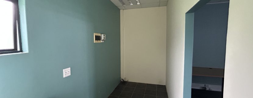 IMG_6041